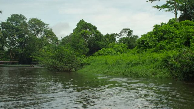 Floating on the Mulu River, Gunung Mulu National Park, Sarawak province, Borneo Island, Malaysia