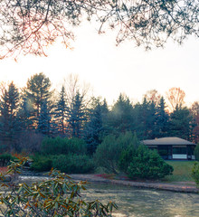 Japan garden with wooden gazebo