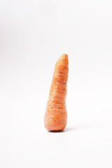 Fresh carrot 
