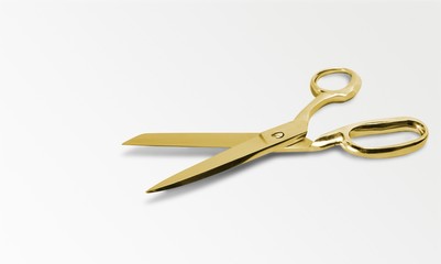 Scissors.