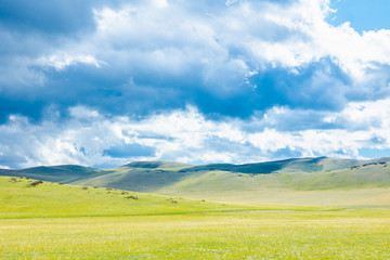 Steppe landscape with mountains on the background