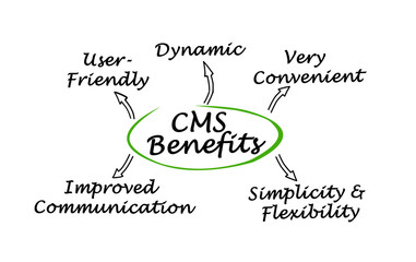  CMS Content Management System Benefits.