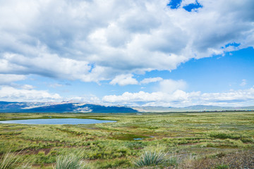 Steppe landscape with mountains on the background