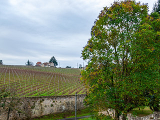 St. Emilion in Aquitaine, France. Enchanting medieval village famous for its fine wines, View of a...