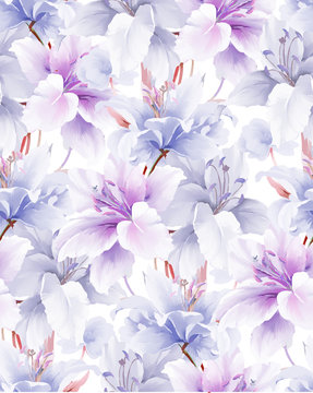 Elegant Beautiful Watercolor Magnolia Flower And Seamless Pattern