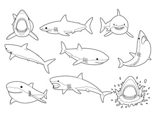 Obraz premium Great White Shark Pose Cute Cartoon Vector Coloring Book