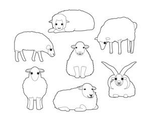 Various Domestic Sheep Cute Cartoon Vector Coloring Book