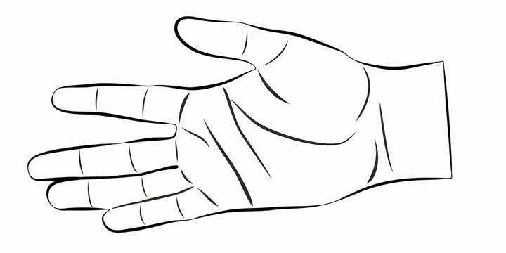 illustration of hand, vector draw