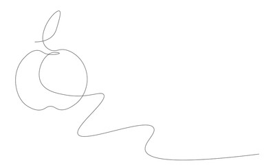Apple fruit continuous line drawing, vector illustration