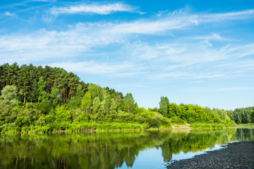 Fototapeta na wymiar Calm river with forest on the shore