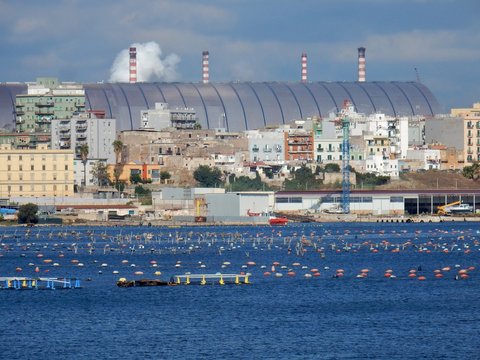 Taranto - Allevamento di mitili nel Mar Piccolo