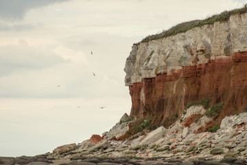 Colorful cliffs, low tide and birds seagulls flying by cliff from limestone and chalk, Hunstanton England