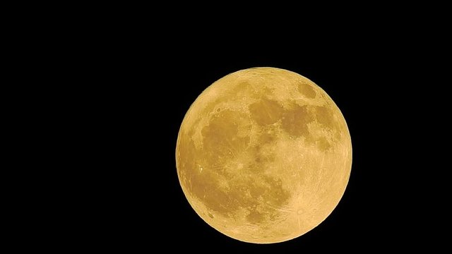風がない夜の満月。黄色に輝く月イメージ素材。月齢15.3