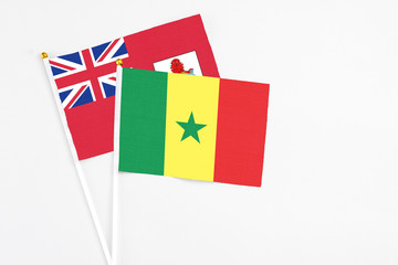 Senegal and Bermuda stick flags on white background. High quality fabric, miniature national flag. Peaceful global concept.White floor for copy space.