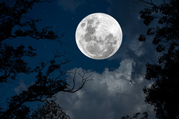 Fototapeta na wymiar Full moon on the sky at night.