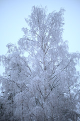 Hiver neige Kuopio Finlande voyage vacances trip
