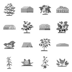 Vector design of greenhouse and plant logo. Set of greenhouse and garden stock symbol for web.
