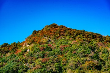 深耶馬の紅葉