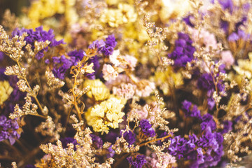 Fototapeta na wymiar flowers on a background