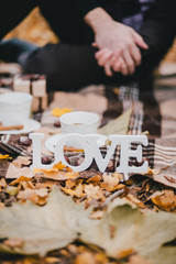 Autumn picnic with coffee and cookies.