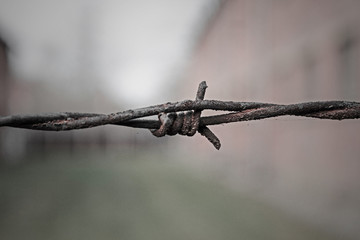 barbed wire on blurred bokeh blue background