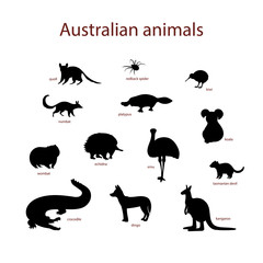 Vector illustration, set of australian animal silhouettes. Quoll, redback spider, kiwi, numbat, platypus, koala, wombat, echidna, emu tasmanian devil crocodile dingo kangaroo