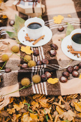 Autumn picnic with coffee and cookies.