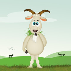 illustration of goat eat grass