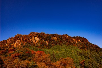 深耶馬の紅葉