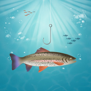 Fish Bites The Hook In The Sea