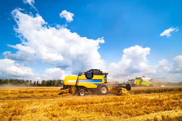 Agriculture machine harvesting crop in fields, Special technic in action. Agricultural concept. Ripe crop panorama. Cereal gathering. Heavy machinery, blue sky above field.