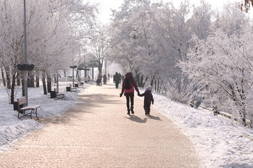 Fototapeta premium People walking along the path in the snow-covered park, trees in hoarfrost