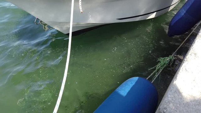 Big flock of small baby fishes beside parked boat rocking on the waves. Filming wonderful mediteranean countryside at sea vacation in Adriatic sea.