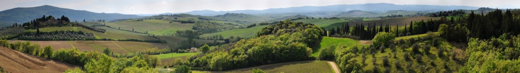 Beautiful Tuscan landscape with cypress trees, vineyards and olive trees near Siena. Italy