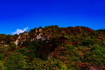 日出生台ダムの紅葉