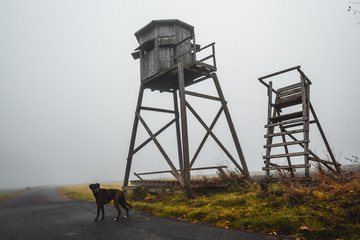 Hochsitz Holzkonstruktion an einem Feld stehend vor einer dichten Wand aus Nebel im Herbst