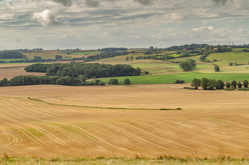 Fototapeta na wymiar Lincolnshire wolds rural scene
