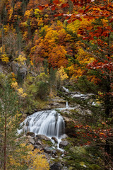 Waterfall in the mountain through an autumnal forest in vertical