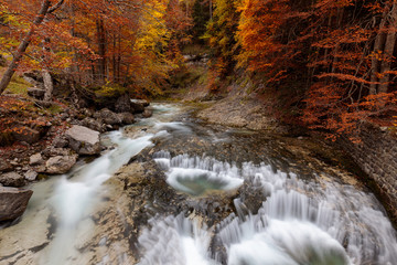 course of a river passing through orange-leafed trees in a high autumn mountain forest