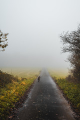 geteerter Feldweg zwischen zwei Feldern im Herbst im Nebel liegend