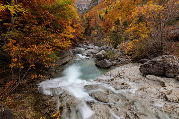 course of a river passing through orange-leafed trees in a high autumn mountain forest