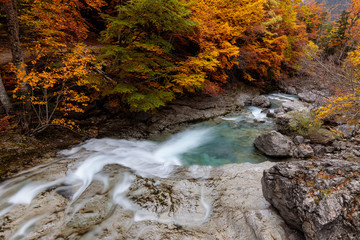 course of a river passing through orange-leafed trees in a high autumn mountain forest