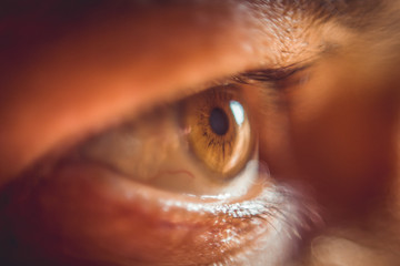 close up of human eye