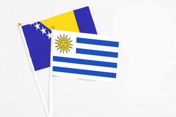 Uruguay and Bosnia Herzegovina stick flags on white background. High quality fabric, miniature national flag. Peaceful global concept.White floor for copy space.