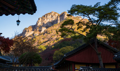 장성 백양사의 추경