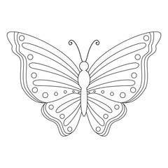 Butterfly isolated on white background. Butterfly for coloring book.