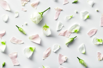 Flowers composition. Rose flower petals on white background. Pattern of a gentle petals top view