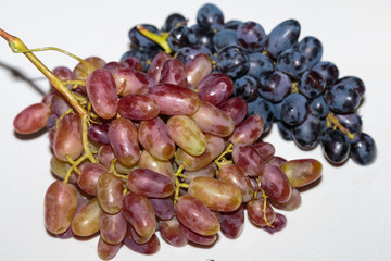 Freshly picked multicolored grapes bunches on a kitchen table. Harvest. Vegan food.