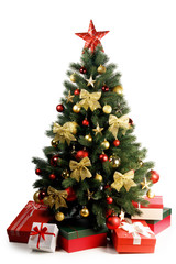 Christmas Tree in winter