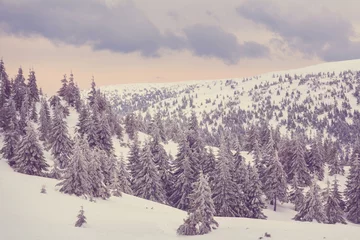 Türaufkleber Winter forest © Galyna Andrushko